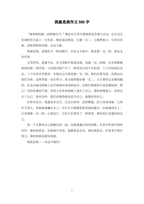 精选我就是我作文500字