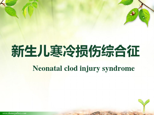 新生儿寒冷损伤综合征(经典)