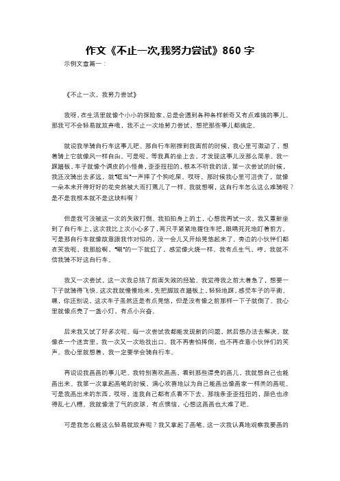 作文《不止一次,我努力尝试》860字