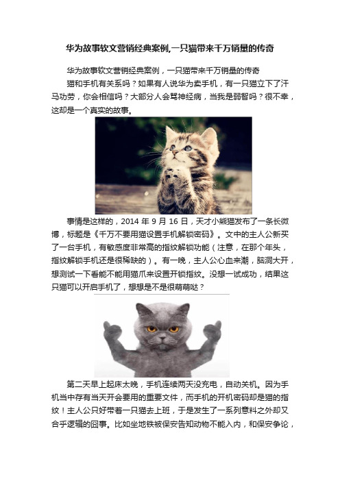 华为故事软文营销经典案例,一只猫带来千万销量的传奇