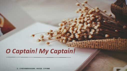 o captain my captain文体学分析.ppt