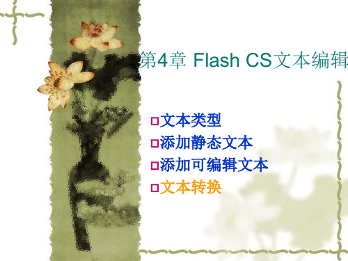 FLASHCS动画制作(4)