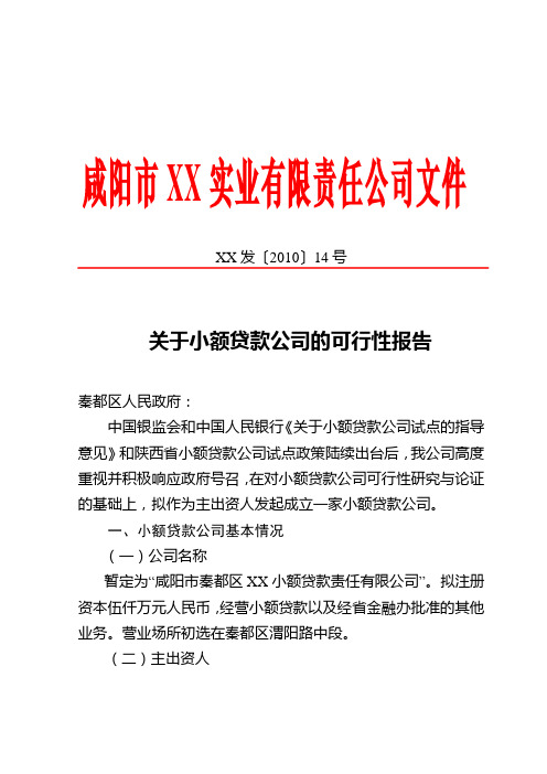 关于设立小额贷款公司的可行性研究报告