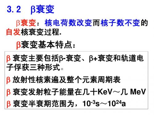 原子核的衰变2