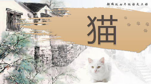 第17课《猫》课件 2024—2025学年统编版语文七年级上册(2)