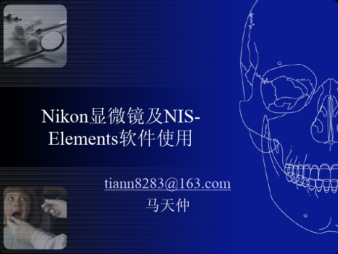 nikon显微镜及NIS-Elements软件使用