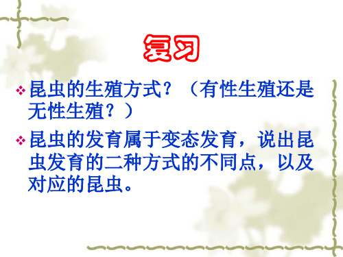 两栖动物的生殖和发育微课获奖课件公开课一等奖课件省赛课获奖课件