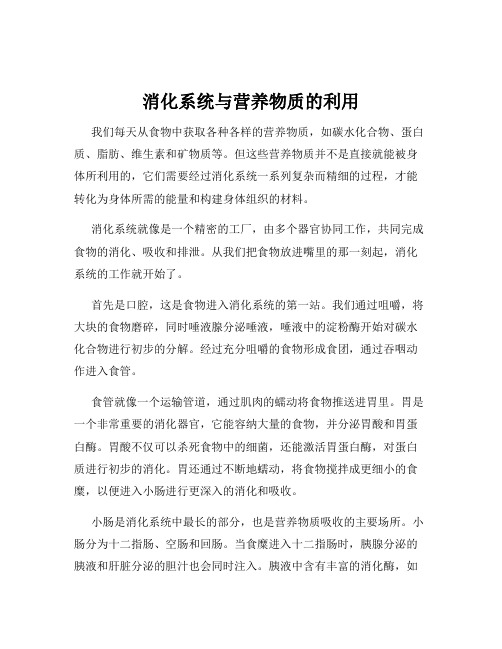 消化系统与营养物质的利用