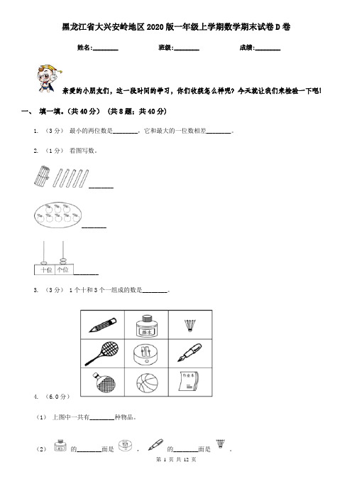 黑龙江省大兴安岭地区2020版一年级上学期数学期末试卷D卷