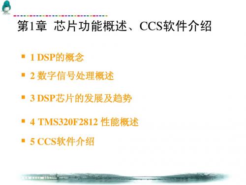 第1章_DSP基本介绍及CCS软件1