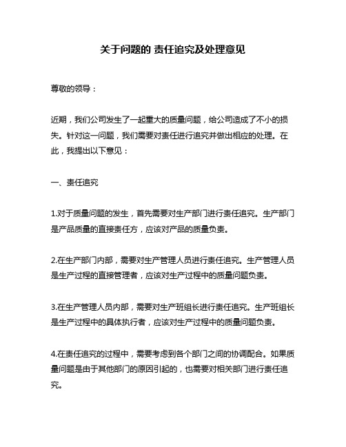 关于问题的 责任追究及处理意见