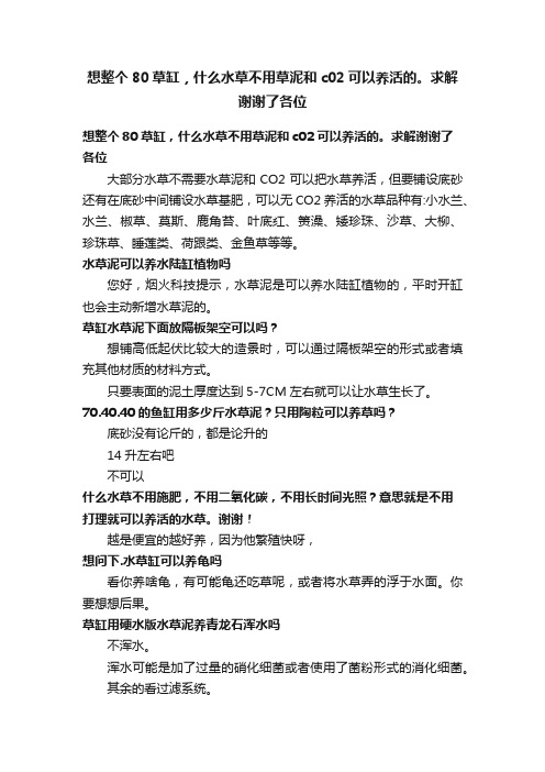 想整个80草缸，什么水草不用草泥和c02可以养活的。求解谢谢了各位