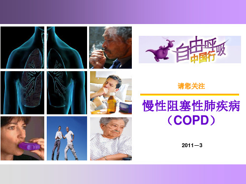 1 请您关注COPD