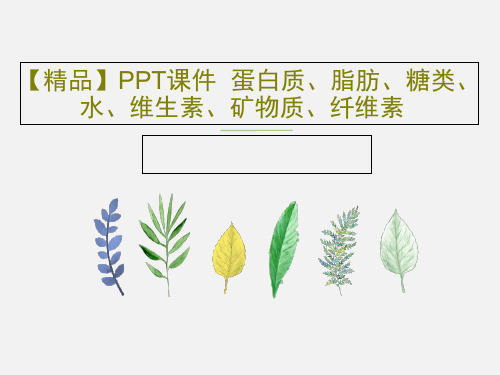 【精品】PPT课件  蛋白质、脂肪、糖类、水、维生素、矿物质、纤维素共17页PPT