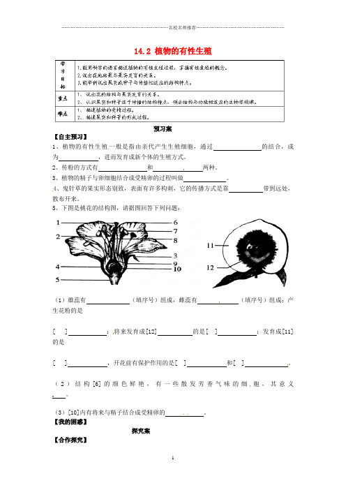 黑龙江省大庆市第十四中学2012-2013学年八年级生物下册 14.2 植物的有性生殖名师精编导学案(无答案) 苏教