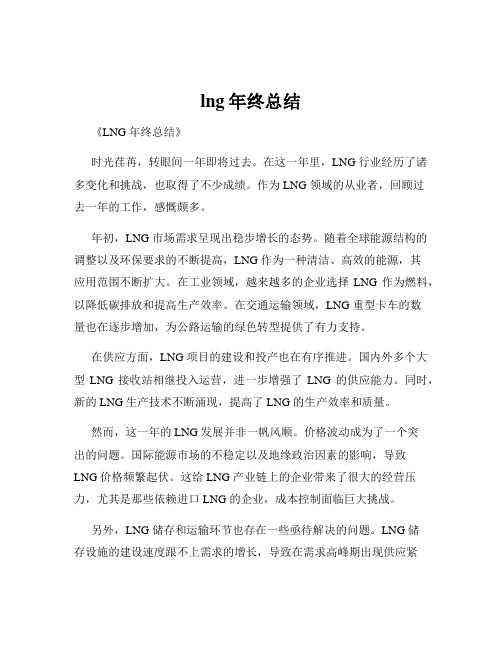 lng年终总结