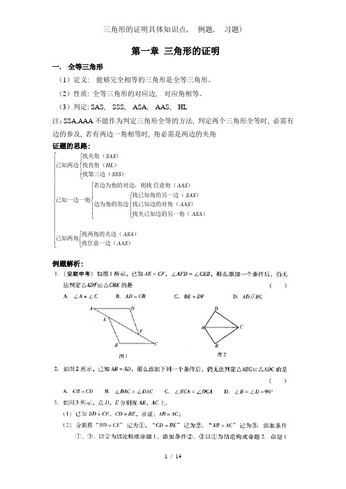 三角形的证明详细知识点例题习题1