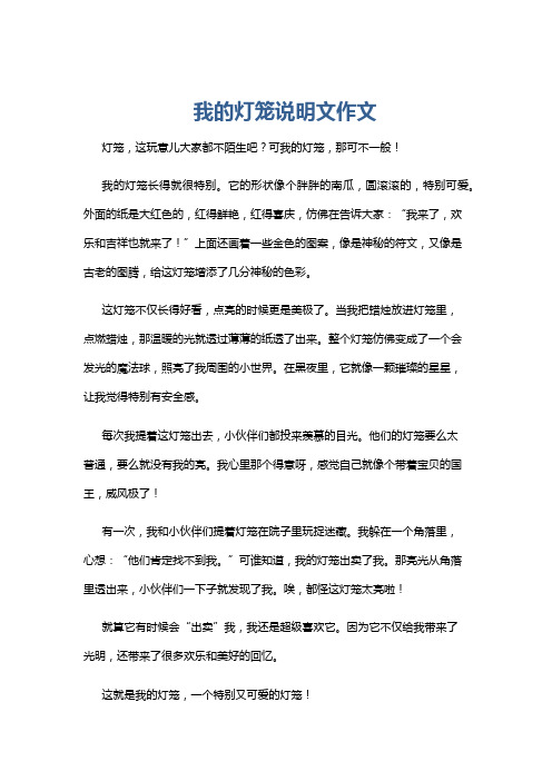 我的灯笼说明文作文