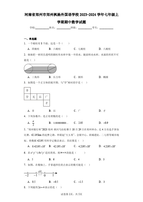 河南省郑州市郑州枫杨外国语学校2023-2024学年七年级上学期期中数学试题