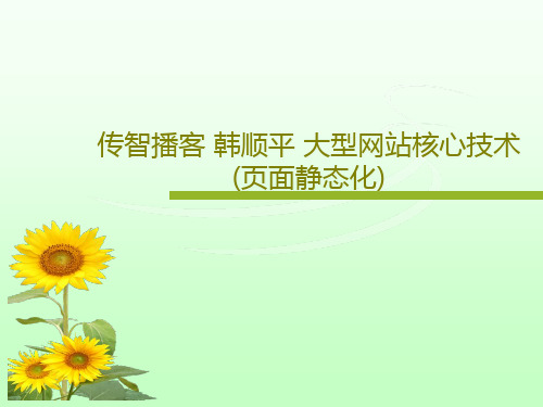 传智播客 韩顺平 大型网站核心技术(页面静态化)共42页