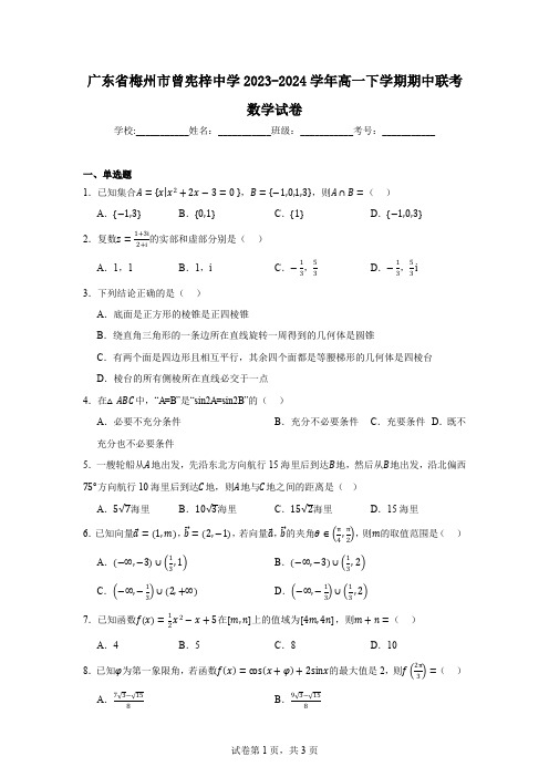 广东省梅州市曾宪梓中学2023-2024学年高一下学期期中联考数学试卷