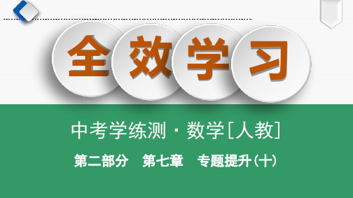 专题提升(10) 以等腰三角形和直角三角形为背景的计算与证明