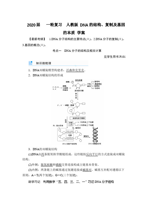 2020年高考   一轮复习  人教版 DNA的结构、复制及基因的本质 学案.doc