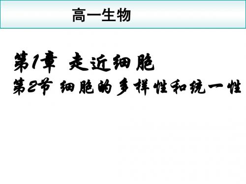 生物：1.2《细胞的多样性和统一性》课件(新人教版必修1)湖南师大