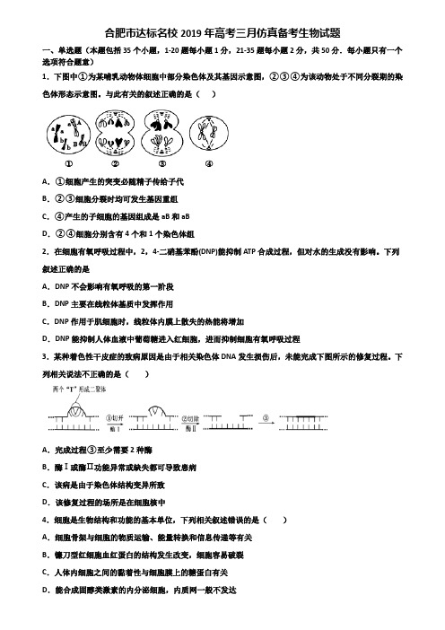 合肥市达标名校2019年高考三月仿真备考生物试题含解析