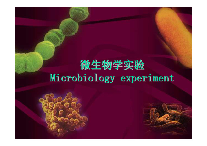 微生物学试验Microbiologyexperiment