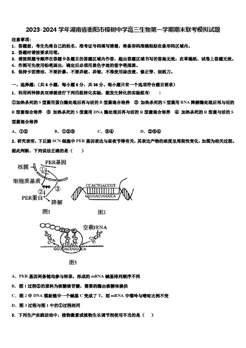 2023-2024学年湖南省衡阳市樟树中学高三生物第一学期期末联考模拟试题含解析