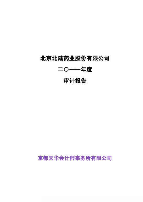 北陆药业：2018年年度审计报告.pdf