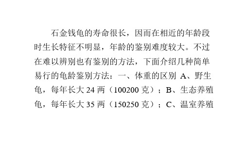 判断石金钱龟年龄有妙招