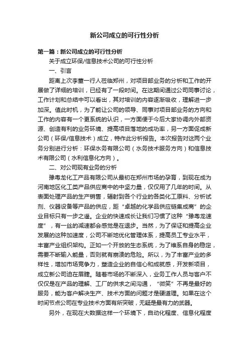 新公司成立的可行性分析