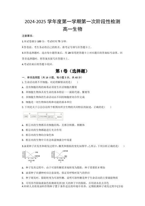 高一生物试题与解析-西安市部分学校联考2024-2025学年高一上学期10月月考+生物