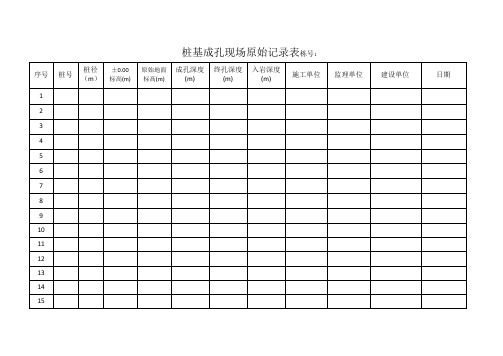 桩基成孔记录表