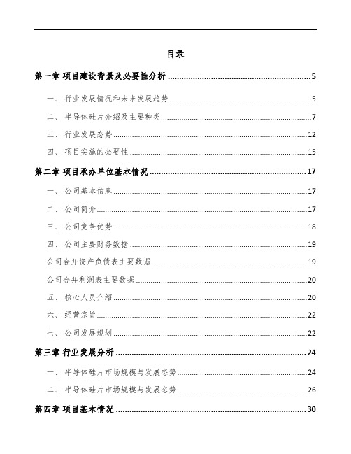 沈阳半导体硅片项目实施方案范文模板