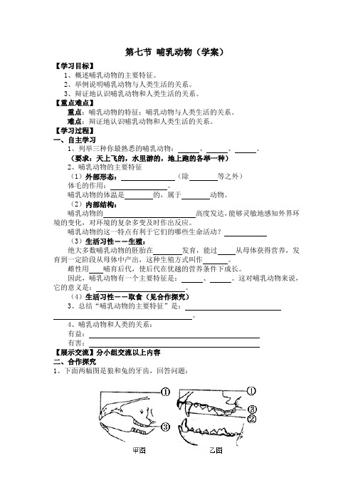 《哺乳动物》教案1