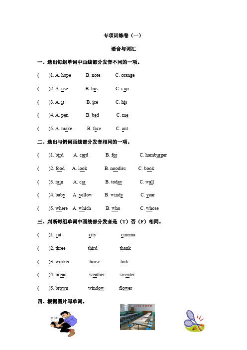 6年级英语下册专项训练卷(一)语音与词汇 人教PEP(含答案)