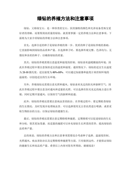 绿钻的养殖方法和注意事项