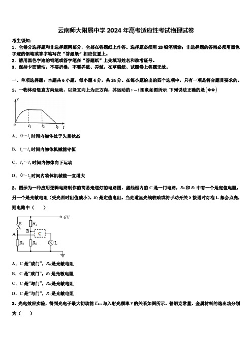 云南师大附属中学2024年高考适应性考试物理试卷含解析