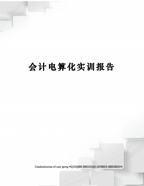 会计电算化实训报告