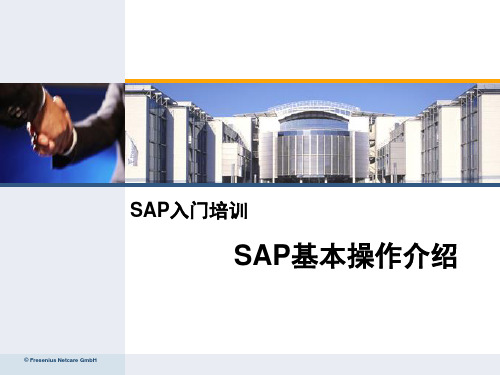 SAP入门基本操作培训