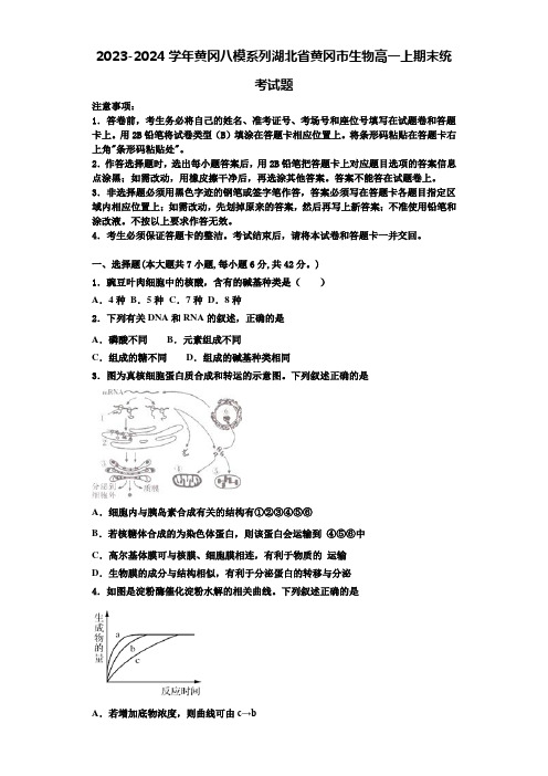 2023-2024学年黄冈八模系列湖北省黄冈市生物高一上期末统考试题含解析