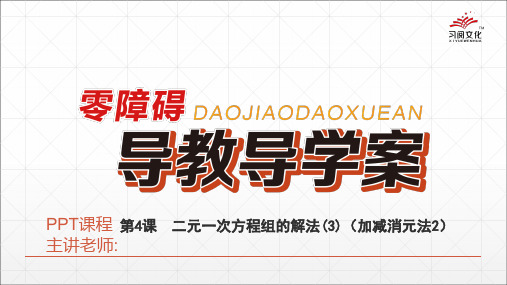 第4课 二元一次方程组的解法(3)(加减消元法2)