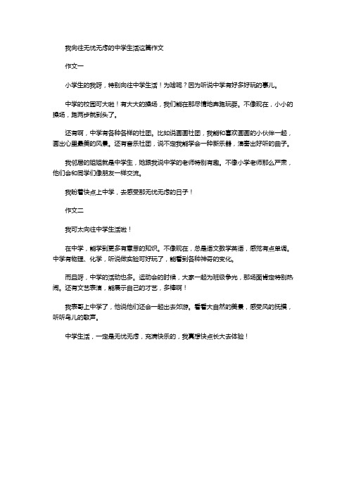 我向往无忧无虑的中学生活这篇作文