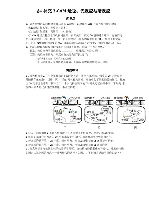 4补充CAM途径光反应与暗反应