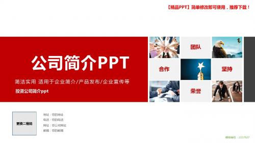 【优质PPT模板】投资公司简介ppt