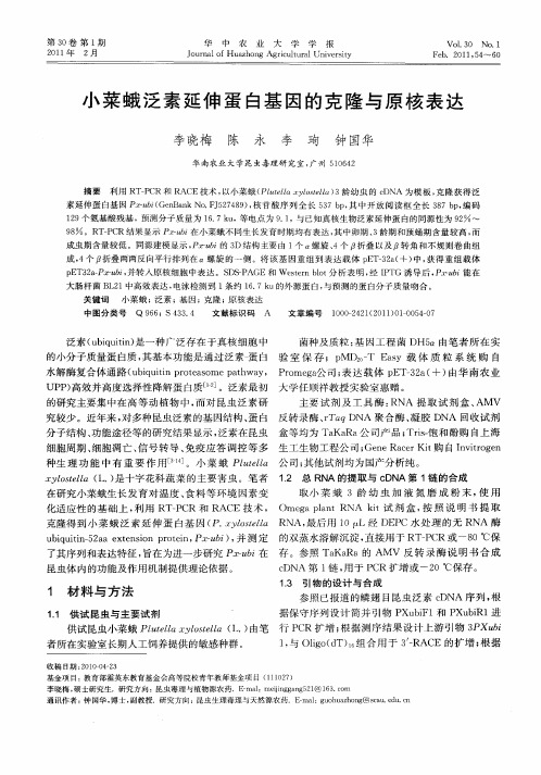 小菜蛾泛素延伸蛋白基因的克隆与原核表达