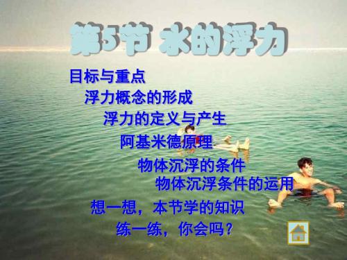 水的浮力3浙教版